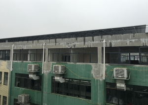 黄色正能量网站正能量网入口最新